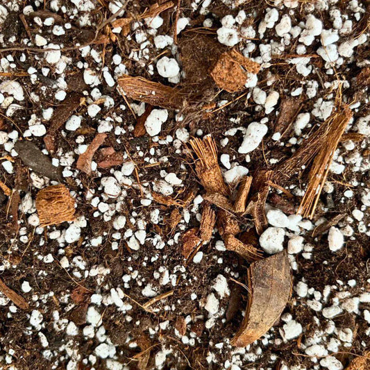 How to Create a Chunky Soil Mix for Happy & Healthy Roots